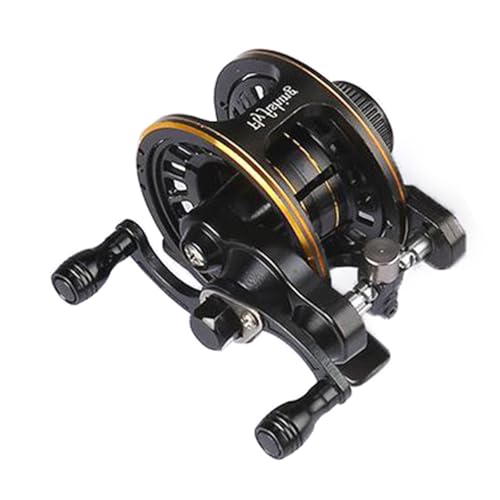 ނnhzC[r͋쓮J[g[CWTEhnhCRC쓮J[gXނ