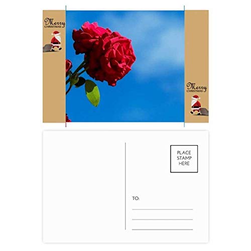 Cartes postales Père Noël lot de 20 à offrir ou envoyer
