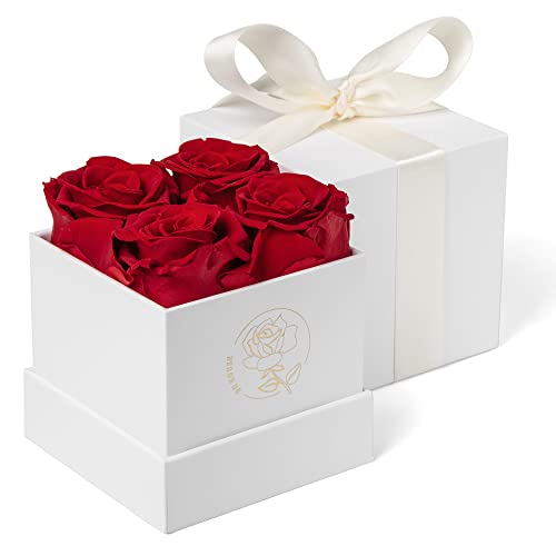DuHouse Konservierte Rosen, Box mit ewigen Rosen, für Valentinstag, Geburtstag, Erntedankfest, Rot, 4 Stück DuHouse Konservierte Rosen, Box mit ewigen Rosen, für Valentinstag, Geburtstag, Erntedankfest, Rot, 4 Stück