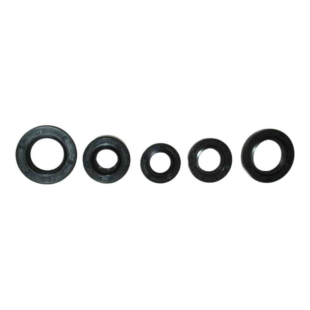 Guarnizioni olio motore compatibili con 50cc 70cc 110cc 125cc Pit Bike Monkey Bike ATV Go Kart