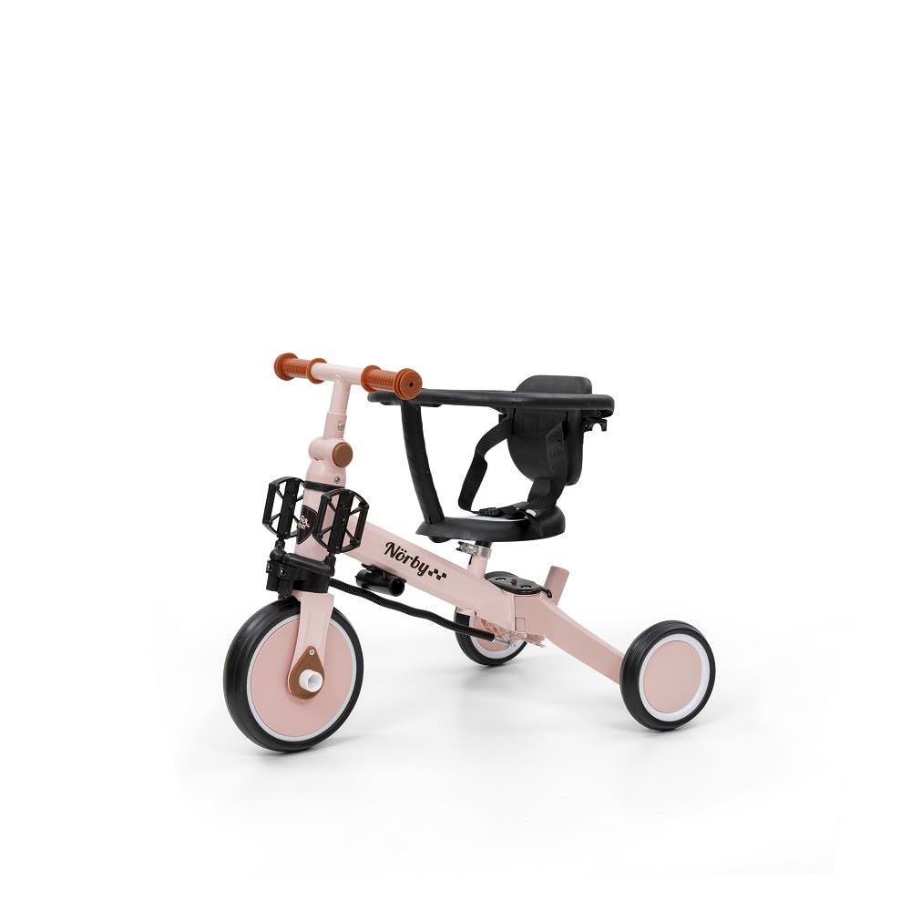 Interbaby - Triciclo "Norby" e Bici Evolutiva 5 in 1 con Capottina - 1-5 Anni