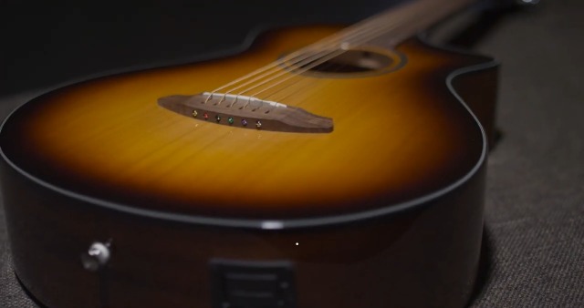 Amazon.com: Breedlove Discovery S Concerto Edgeburst CE European