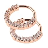 SUPVOX Anillos Nariz 2 Pcs Rosas Zirconia Brillante Adornos Decorativos de Nariz Estilo Futurista para Mujer y Hombre Elegante y Seguro para Fiestas y Uso Diario