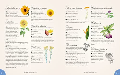 The Complete Language of Flowers: A Definitive and Illustrated History - Pocket Edition (Complete Illustrated Encyclopedia) - Image 5