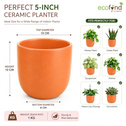 Image of ecofynd 5 Inch Ceramic Plant Pots with Drainage Hole, Modern Decorative Clay Flower Pots for Indoor Plants, Home Garden Decor for Living Room, Bedroom & Interior Spaces (Pack of 2, CPOT041-PEH)