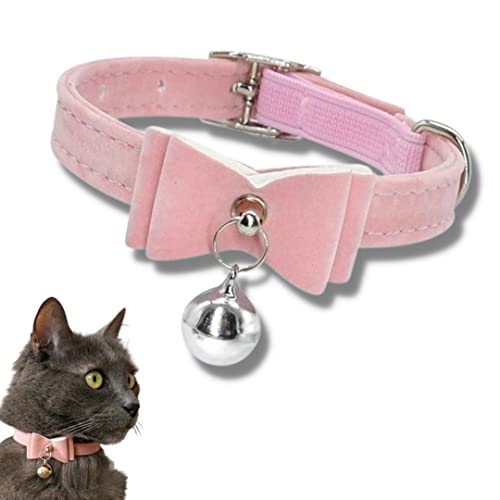 FIGARO CATS STORE: Collare per gatti in velluto: elastico, regolabile, morbido, sicuro, antistrozzo con campanello rimovibile e doppio fiocco papillon (Rosa)