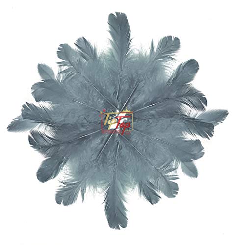 Image of TIPTOP DECORATION Natural Dyed Feathers 10 cm (80 pieces) (Grey)