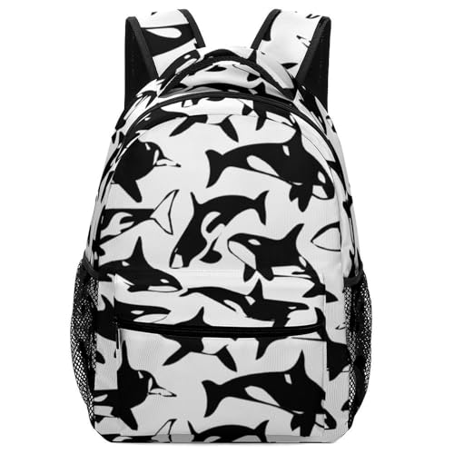 [A^A] bN bNTbN V` L CJ obNpbN V_[obO  wN q j̎q ̎q ʋ ʊw