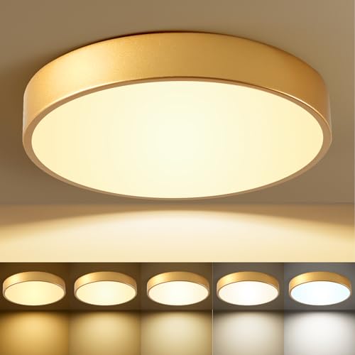 HLinghtnet Flush Mount Ceiling Light Gold 12 Inch LED Dimmable Ceiling Light 24W 5CCT(2700K-5000K) Bedroom Lamp Entryway for Bedroom Foyer Kitchen Entryway Closet Hallway