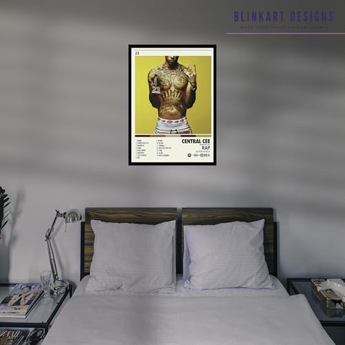 Image of BLINKART Central CEE Wall Photo Frames | Wall Art for Bedroom, Living Room, Studio or Office | Album Cover Print with Spotify Song Link QR Code | Gift for Fans - 8x12 In