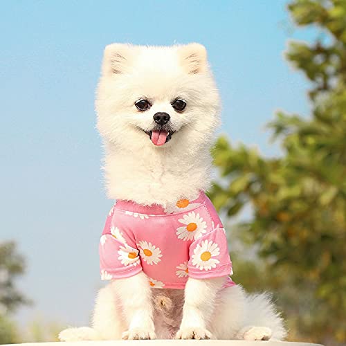 Sunglasses Dog Clothes for Small Dogs Girl Boy - Sebaoyu Cute Dog Shirt -Puppy Clothes for Small Dogs - Pet Cat Male Female Clothes Outfits - Small Dog Clothing - Yorkie Chiuahaha Clothes (Small)