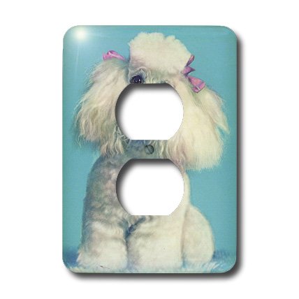Cache pour 2 prises de courant double ouverture coloris blanc