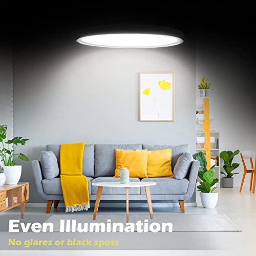 LightingWill 8.9 Inch LED Flush Mount Ceiling Light Fixture, 5000K Daylight White,1800LM, 18W, Flat Modern Round Lighting Fixture, 180W Equivalent White Ceiling Lamp for Kitchens, Bedrooms.etc.