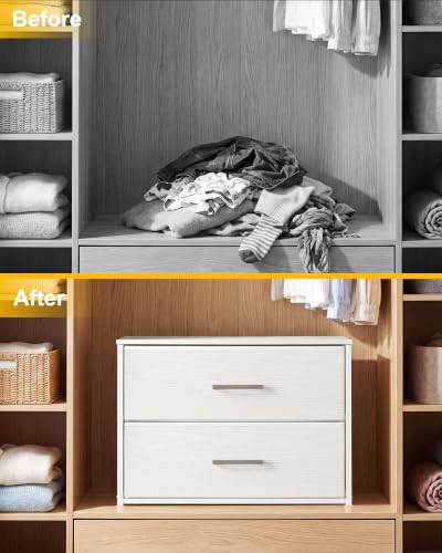 Image of Fixwal Closet Drawers for Clothes, 1 Pack, 2 Drawers Dresser, 21.2 inch Wide
