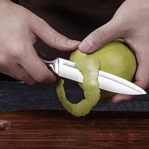 Image of 4.7 inch Paring Knife High Carbon Ultra Sharp Stainless Steel Cooking Knife for Fruit, Vegetable Peeling, Slicing, Cutting for Home, Kitchen & Restaurant, Silver, Pack of 1 (Paring Knife)