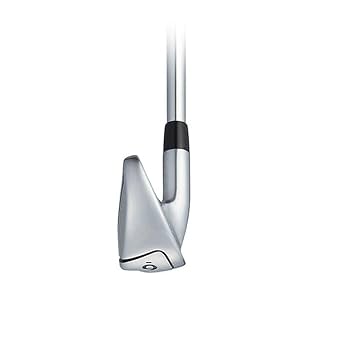 タイトリスト　アイアン　VG3 6番 Amazon.co.jp: TITLEIST(タイトリスト)VG3【カタログ純正