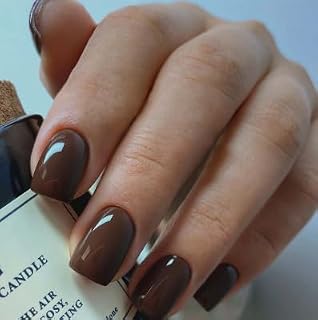 Ceboic 24 Stück Braun Künstliche Nägel, Kurz Square French Press on Nails, Natürlich Reine Farbe Acryl Fingernägel zum Aufkleben, Elegant Wiederverwendbare Full Cover Falsche Nägel für Frauen Mädchen