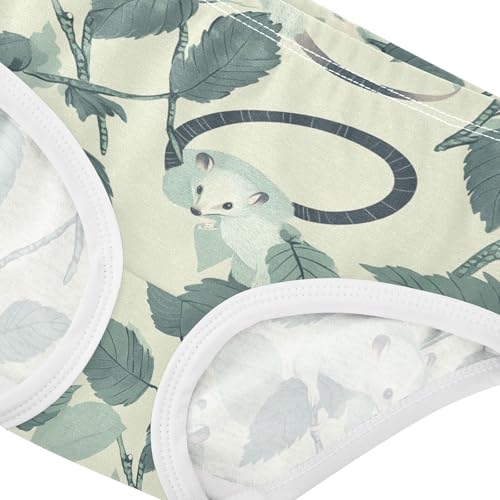 Wusikd Opossums Girls' Underwear Cotton Girls Briefs Soft Toddler Underwear 2T4