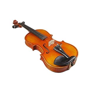 S & P high-grade gouden bloem patroon tijger viool strijkstok achthoekige vierkante doos PCTONC (Color : Brown)