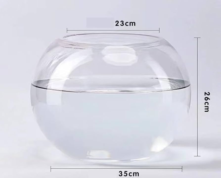 Amazon | 金魚鉢 ガラス水槽 透明水槽 リビング用ボール水槽