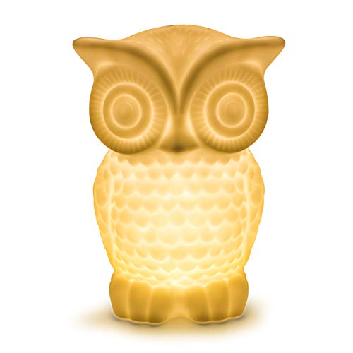Aappy búho Lámpara con temporizador, Serenity Battery Powered Porcelain Wise Minerva de mesa para dormitorio Decor (Warm white 2)