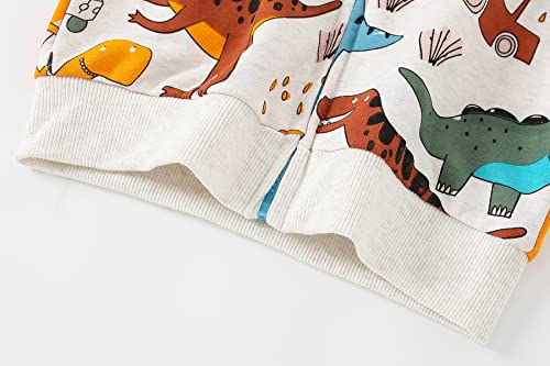 Akyzic Boys Zip-Up Hoodie Sweatshirts Dinosaur Clothes For Boys Toddler Boys Jacket Winter Long Sleeve Hooded Dinosaur Shirts Pullover Tops Fall Outwear 6T/3047 Gray #TOP5