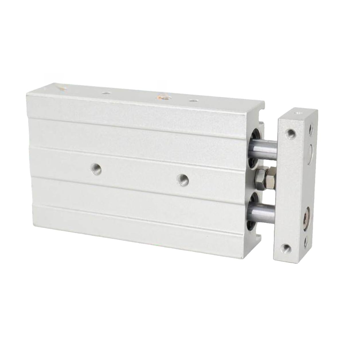 Cylindre à double arbre pneumatique TR32X20S pour stopper les torsions