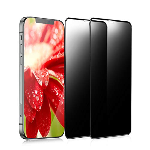 iphone12ProMax ガラスフィルム のぞき見防止 iphone12Promax用 保護フィルム 全面 12Pro Max ガラスフィルム iphone12proMax ガラス 液晶保護 画面シール シート【6.7インチ/2枚セット/覗き見防止/旭硝子/貼り付け簡単/気泡ゼロ/クリア/割れない】