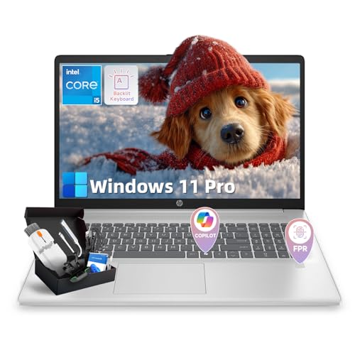 HP (�G�C�`�s�[) 17 �m�[�g�p�\�R��(�r�W�l�X�p) Intel i5-1334U (�ő�4.6GHz)�A17.3�C���` HD+�f�B�X�v���C�A64GB RAM�A2TB SSD�o�b�N���C�gKB�A�w�䃊�[�_�[�ALifetime Win 11 Pro & C