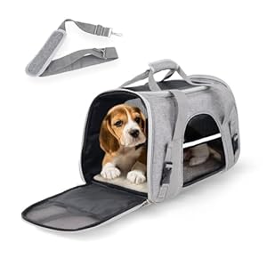Mobiclinic® Pets, Transportín Perro Gato, Bronco, Plegable, Banda para Trolley, Ventilación, Múltiples accesos, Ajustable, 48x25x30 cm, Portátil, Adaptable a Maletas, Mascotas pequeñas