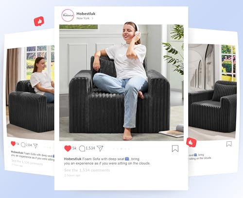 Image of Hobestluk Single Sofa Foam Couch Sofa for Small Spaces Comfy Sofas with Removable Cover Furry Couch with Pillows for Living Room, Bedroom, Apartment, Office (Black, Standard)