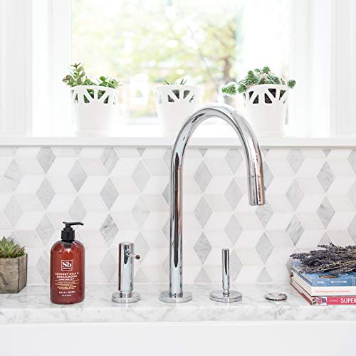 Soapbox Liquid Hand Soap, Coconut Milk & Sandalwood, Gentle & Moisturizing Hand Wash For Kitchen And Bathroom, Vegan & Cruelty Free Scented Hand Soap 12 Ounce Pump Bottles (Pack Of 3) #TOP2