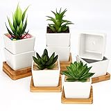 HERMOSA DECORACIÓN EN LA OFICINA O EL HOGAR: Nuestro set de macetas de ceramica es excelente para interiores y exteriores. No ocupan mucho espacio y son un buen adorno en un escritorio de oficina, sala de estar, centro de mesa, dormitorio, baño, mesa en la cocina, mesa de noche, librero, encimera, repisas, gabinetes, tanque del váter, repisa flotante, mesa ratona, mesa del comedor, patio, conservatorio o cualquier esquina. Estas macetas para cactus dan un toque verde natural a su espacio.