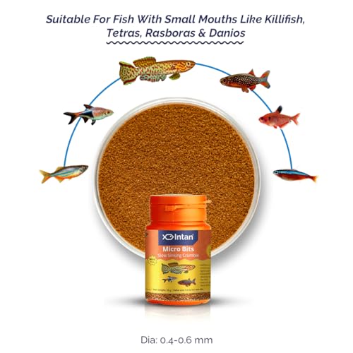 Image of Fisherman'S Intan Micro Bits Slow Sinking Crumble | Crumble for Killifish, Tetras, Rasboras, Danios Fish | Mini Pack Pellet 0. 4 to 0.8 mm Dia, 25 g Dry Adult Fish Food (Pack of 2)