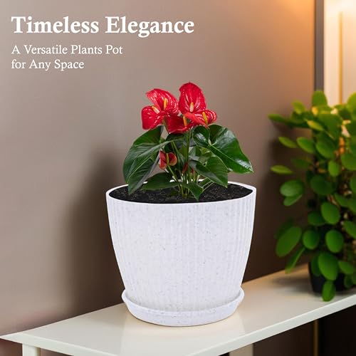 Image of Kuber Industries Plastic 8 Inch Pots for Plants with Tray | Planters for Home Decor, Living Room and Office | Indoor and Outdoor Flower Pots for Balcony and Terrace | Marble Mega - White