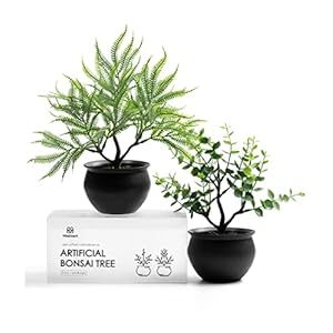 Vitalizart 2 Fake Plants Small Artificial Plants Potted Mini Faux Plants for Bathroom Bedroom Kitchen Office Wall Desk Shelf Room Decor Eucalyptus Ferns Rustic Greenery Decoration