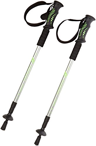 Yellowstone Horizon Trekking Pole Pair - Multi-Colour