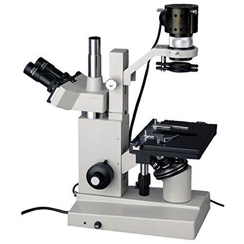 Best Inverted Microscope For Cell Culture 10Reviewz