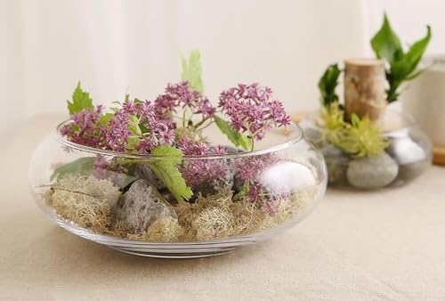 Image of Urli Bowl-Splendid Glass Spring Bowl for Home Decoration Table Centerpiece, Floral Arrangements, and Floating Candels (Clear, 6 Inch)