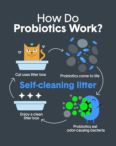 Boxie Probiotic Cat Litter, 40 Day Odor Control, Clumping Clay Kitty Litter, Odor Eliminating Probiotics, Dust-Free, No Fragrances No Fillers, 40 lb - Image 6
