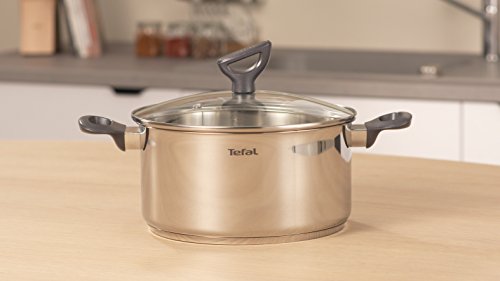 Tefal G71244 Daily Cook Kochtopf mit Deckel 20cm | Messskala | Ausgießhilfe | induktionsgeeignet | Thermokunststoff-Griff | Edelstahl – Ansicht 7