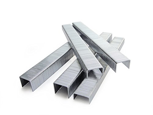 Tacwise 0331 Type 53 / 6 mm Galvanised Staples, Pack of 5000