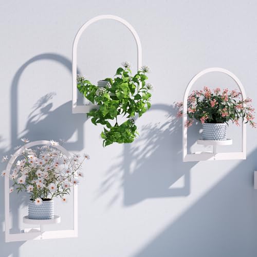 Image of Flenpptly Wall Plant Holder, Wall Planter for Indoor Plants, Window Plant shelves for Multiple Plants Indoor Outdoor, Framed Plant Holder for Home Decor (3 Pack)