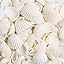 SKOOLOVE 80 PCS Sea Shells 2-3 CM White Small Seashells for Crafting ...