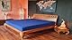 AVANTGARDE Premium Spannbettlaken - 180x200-200x220-40cm Steg - auch für Boxspringbett & Wasserbett - Spannbetttuch ca.170g/m² - Bettlaken 100% Jersey Baumwolle, ÖKO-TEX (14 Dunkelblau)