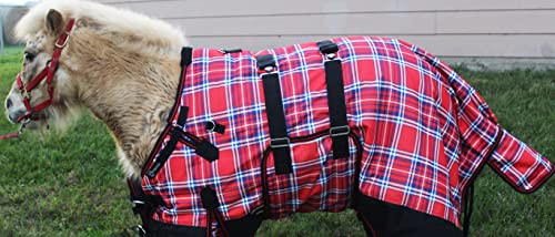 Image of CHALLENGER 1200D Foal Winter Blanket Miniature Pony Donkey Bellyband Turquoise Rustic