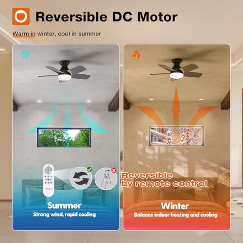 Image of addlon Ceiling Fans with Lights, 32 inch Low Profile Ceiling Fan with Light and Remote Control, Flush Mount, Reversible, 3CCT, Dimmable, Quiet, Black Small Ceiling Fan for Bedroom Indoor /Outdoor Use