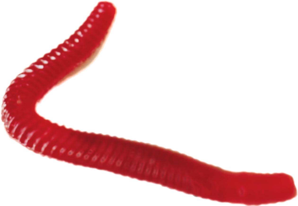Vasa Earthworm Hook Lure Grub for Fishing Artificial Blood Type Bait Tackle Soft Worms for Fish Food, Brown Colour, 4 cm Long (50) 1