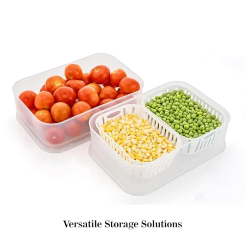 Image of TASMAX Fridge Storage Boxes, Plastic Fridge Containers, Fridge Accessories Items, (FRIDGE CONTAINER 2 GRID)