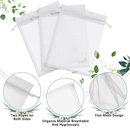 Fruit Tree Protection